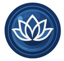 Blue Lens Collective LLC